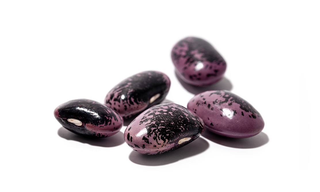 Heirloom Seeds and Squashes
